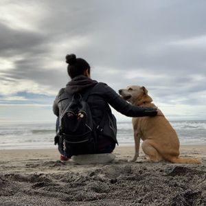 Meet your Posher, Noet